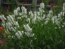 DSCN3894