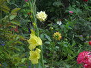 DSCN3896