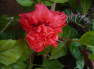 P1150013