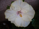 P1150021
