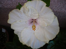 P1150022