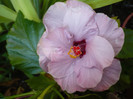 P1150023