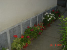 poze 1038