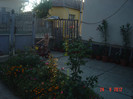 poze 1043