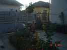 poze 1044
