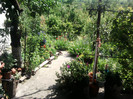 Fotografii-0035