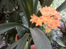Fotografii-0053