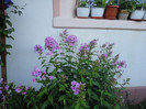 DSC05472