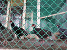 Photo0376