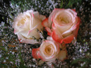 P6200336