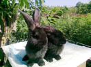 Photo0132