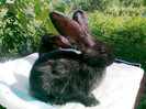 Photo0137