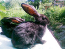 Photo0138