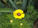 DSC00801