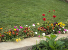 DSC00808