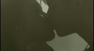 xX KISS Xx