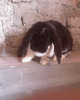 Picture 1