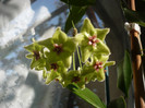 P1150027