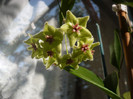 P1150028