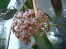 P1150029