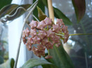 P1150030
