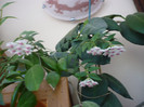 P1150031