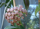 P1150062