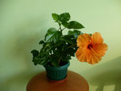 P1400167