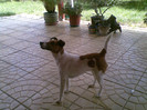 21052012(001)[1]