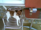 21052012(007)[1]
