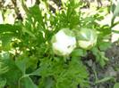 P1020864