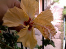 24062012443
