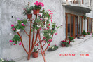 CIMG0090