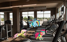 pony_workout_by_bryal-d4ucirl