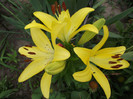 DSCF7798
