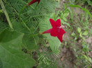 DSCF7807
