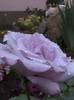 DSC01670