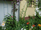 DSC05498