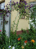 DSC05499