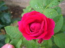CIMG6085
