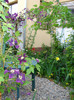 DSC05364