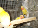 Picture 133