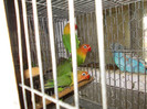 Picture 107