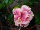 P1150075