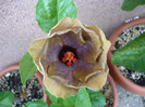 P1150077