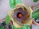 P1150078
