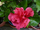 P1150090