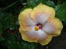 P1150093
