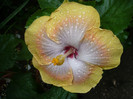 P1150096