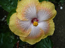 P1150097
